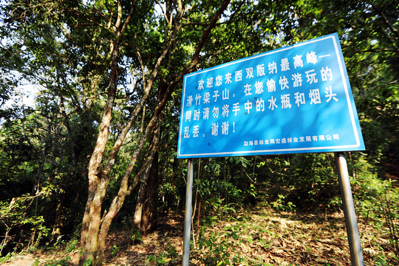 2021年滑竹梁子古樹秋茶價格？