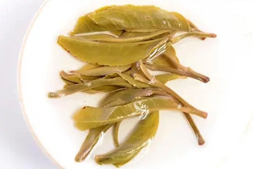 2021年南糯山拔瑪老寨古樹秋茶多少錢一公斤？