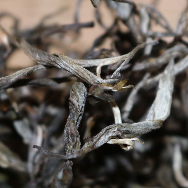 2021年帕沙古樹秋茶，你了解多少？