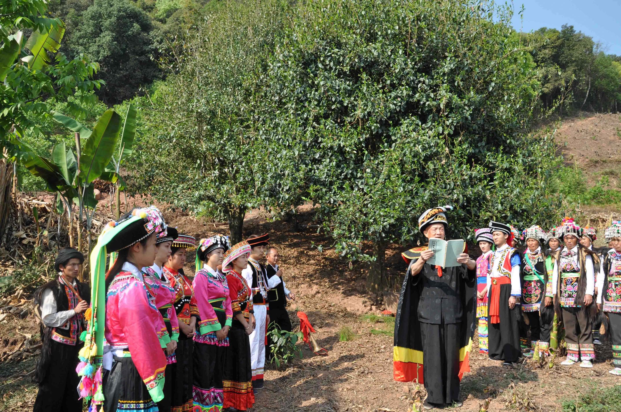 2022年景東御筆古樹春茶多少錢一公斤？