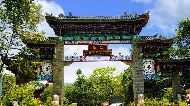 2022年易武正山在哪？易武正山是什么意思？