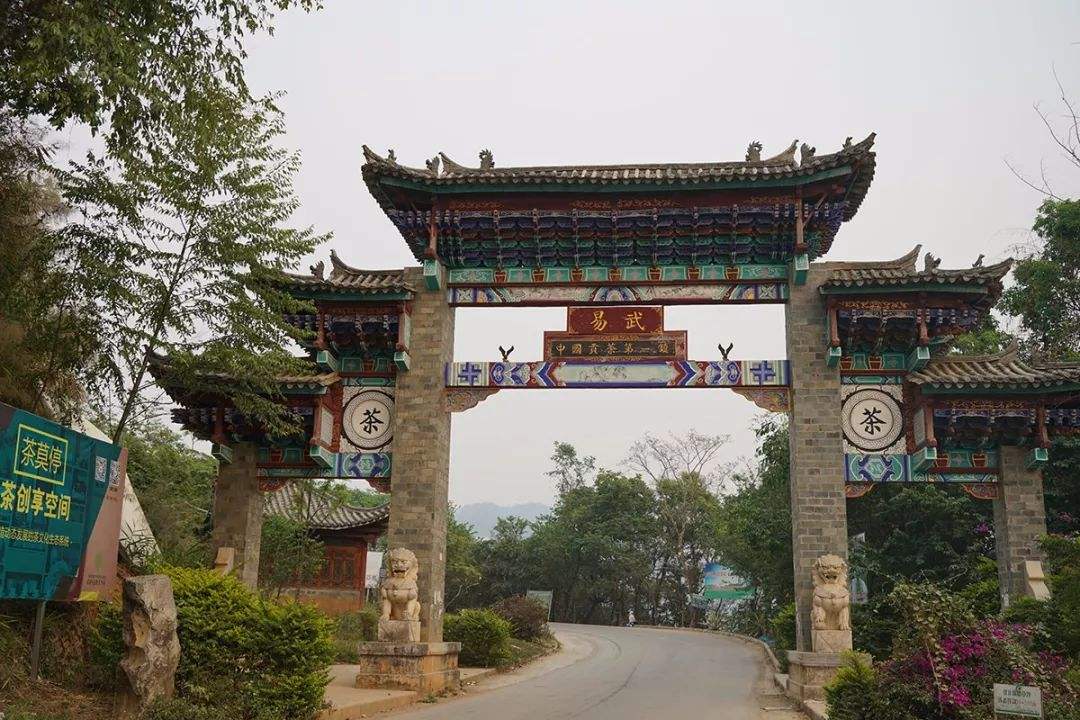 2022年易武正山古樹春茶特點(diǎn)？