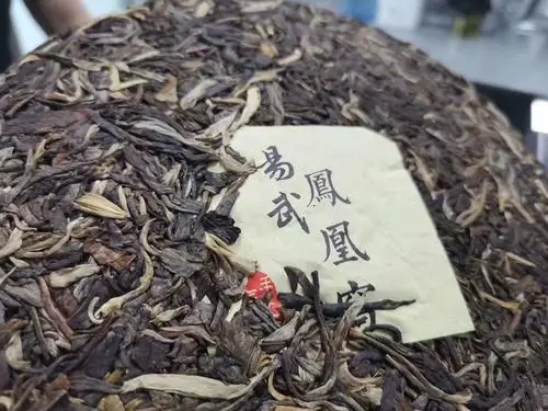 2022年鳳凰窩古樹高桿，鳳凰筑巢的地方