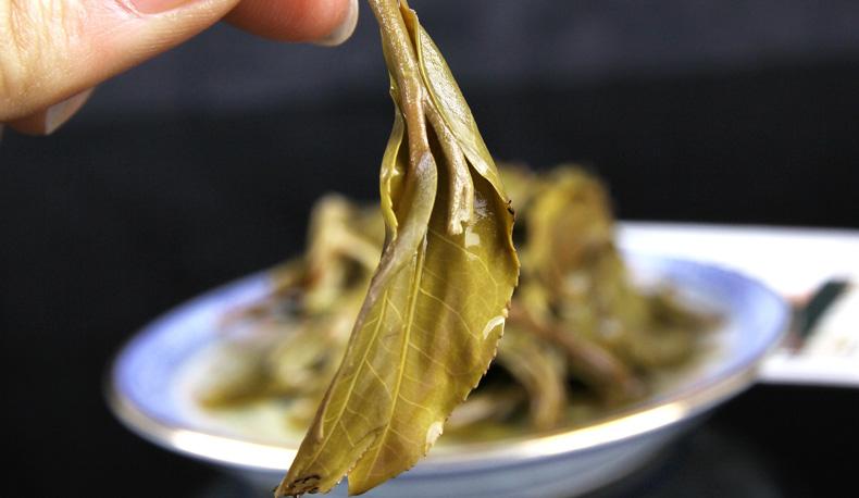 2022年冷水河古樹春茶價格？