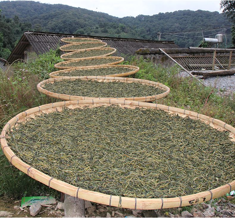 2022年白沙河古樹春茶價(jià)格？