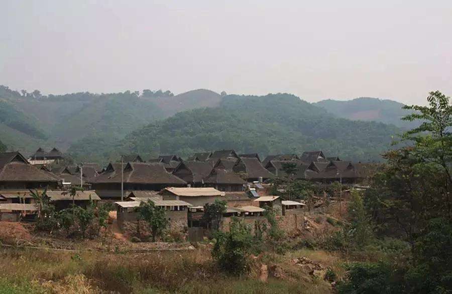 2022年革登古樹(shù)春茶特點(diǎn)？