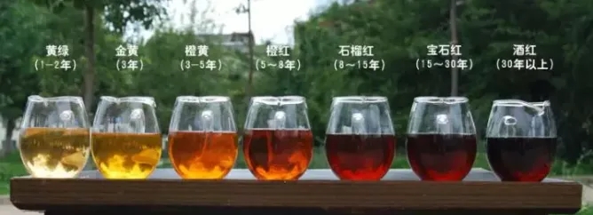 2022年普洱茶的茶湯湯色要怎么描述？