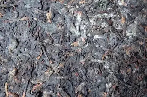 普洱茶泡了之后有霉味怎么辦？