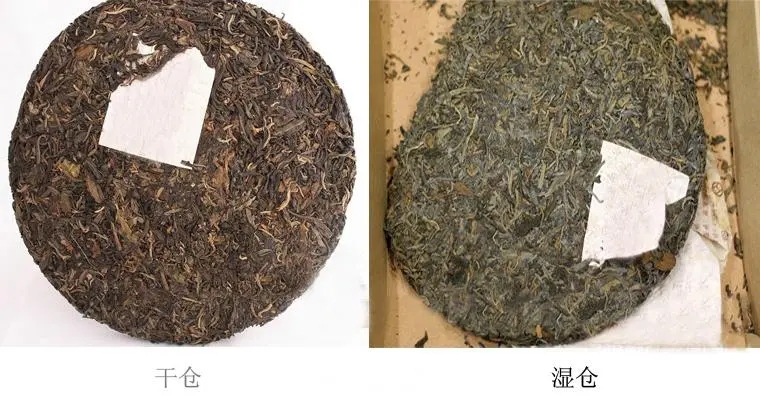 普洱茶怎么分辨干濕倉(cāng)？