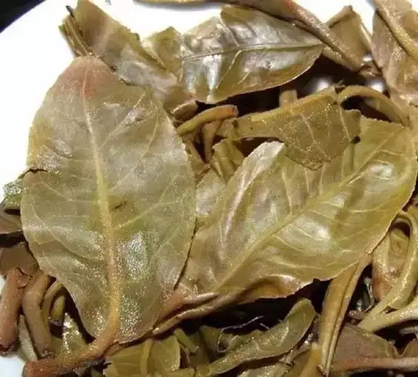 怎么看古樹(shù)普洱茶葉底？
