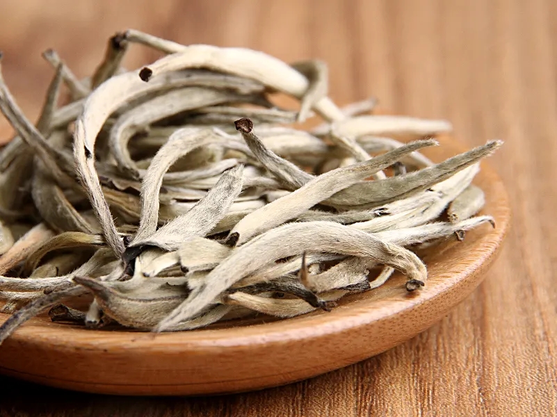 福鼎白茶、安吉白茶、云南月光白“三白”的區(qū)別