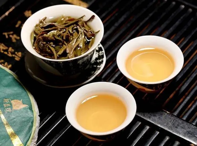 茶會“說話”，讀懂云南古樹普洱茶的秘訣