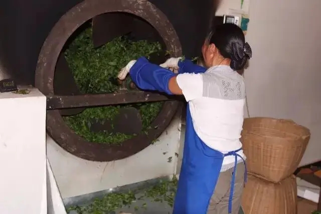 手工殺青與機(jī)器殺青的區(qū)別！