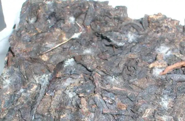 ?普洱茶發(fā)霉了怎么辦？教你妙招應(yīng)對(duì)發(fā)霉的普洱茶！