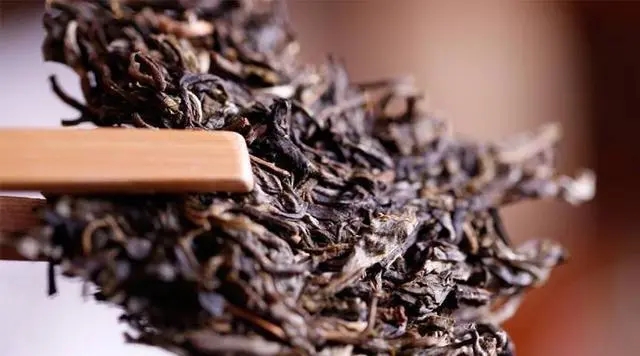 普洱生茶好還是普洱熟茶好喝？如何挑選適合自己的普洱茶？