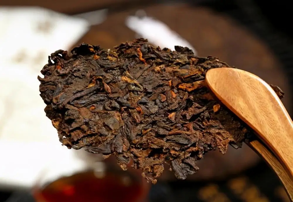 普洱茶生津、回甘、滋味、口感是怎么回事？丨實用