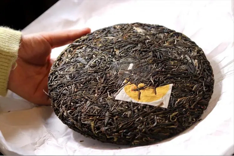 犀牛塘 | 古韻留香，帕沙之王