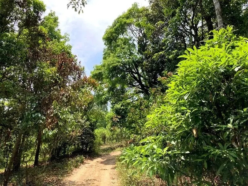 茶山紀(jì)實(shí)：犀牛塘，最近能火是有原因的