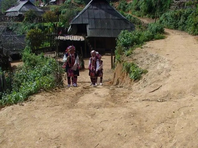 2022年的春天，古樹味道從犀牛塘開始！