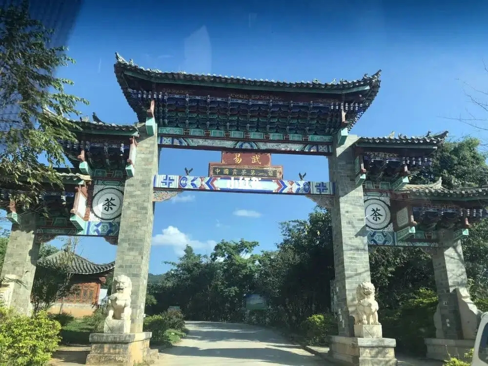 古樹茶年份越老，茶葉就越好嗎？影響茶葉品質(zhì)的因素有哪些？