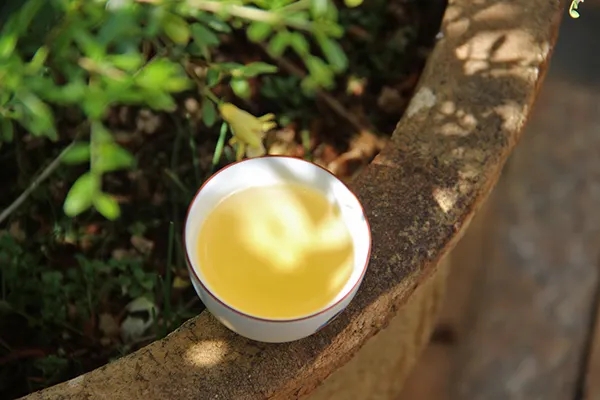 普洱茶越苦澀就代表品質(zhì)越好嗎？