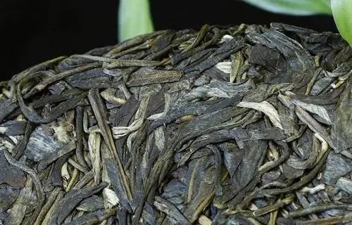 喝普洱茶，一定要喝老茶嗎？