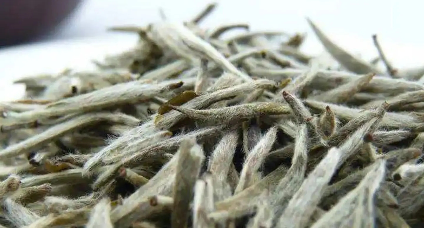 茶毫越多的茶，品質(zhì)就越高嗎？