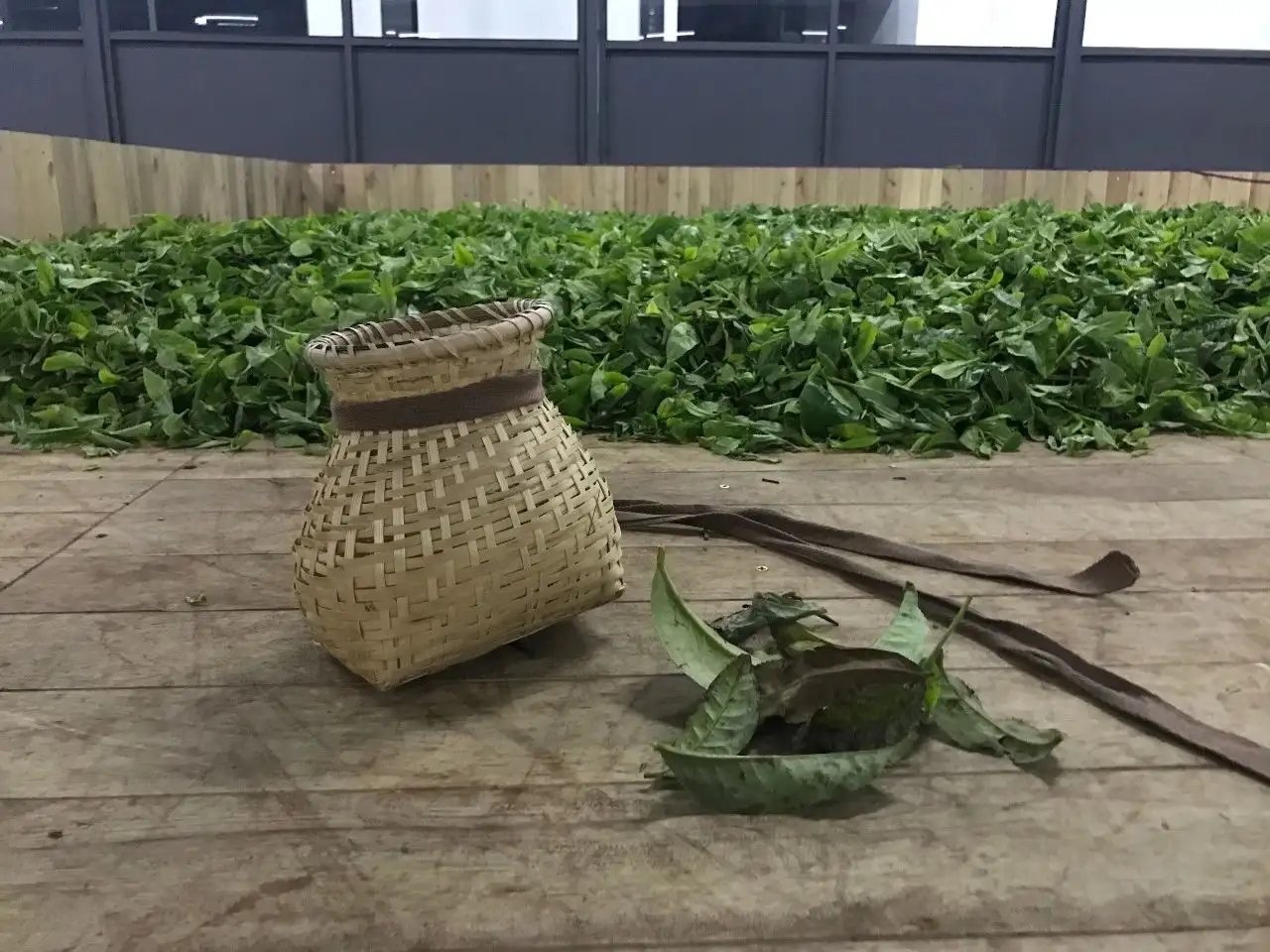 普洱茶，如果不談山頭，我們談什么？