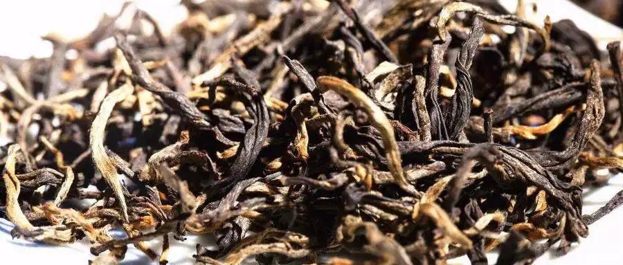 什么是茶氣？茶氣強勁又是一種怎樣的體驗？