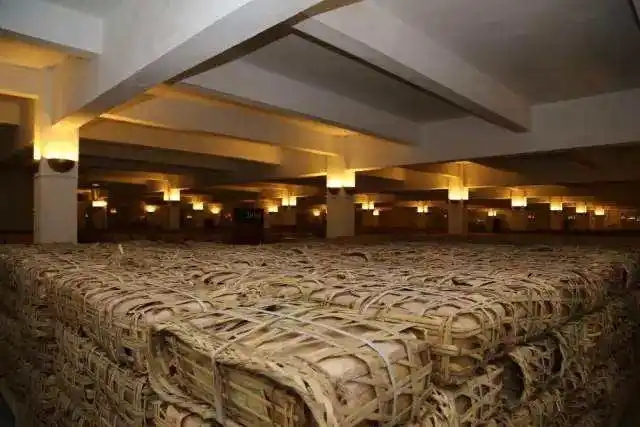 云南古樹普洱茶好在哪？相比小樹茶、臺地茶有何不同？