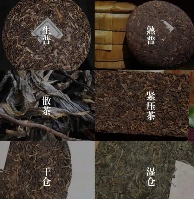 普洱茶不是越陳越香嗎？怎么也有最佳品飲期？