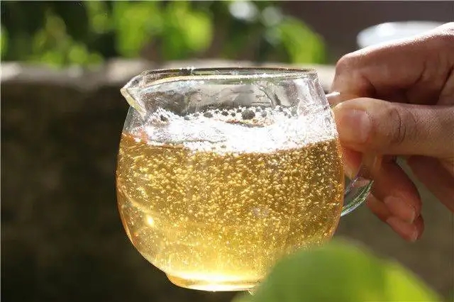 茶顏觀色”，看普洱茶條索里都蘊含著怎樣的“密碼”？