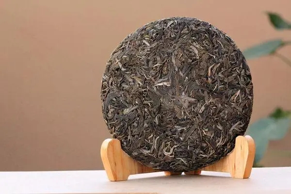 普洱茶入門首要問題，弄清楚，才能喝好茶