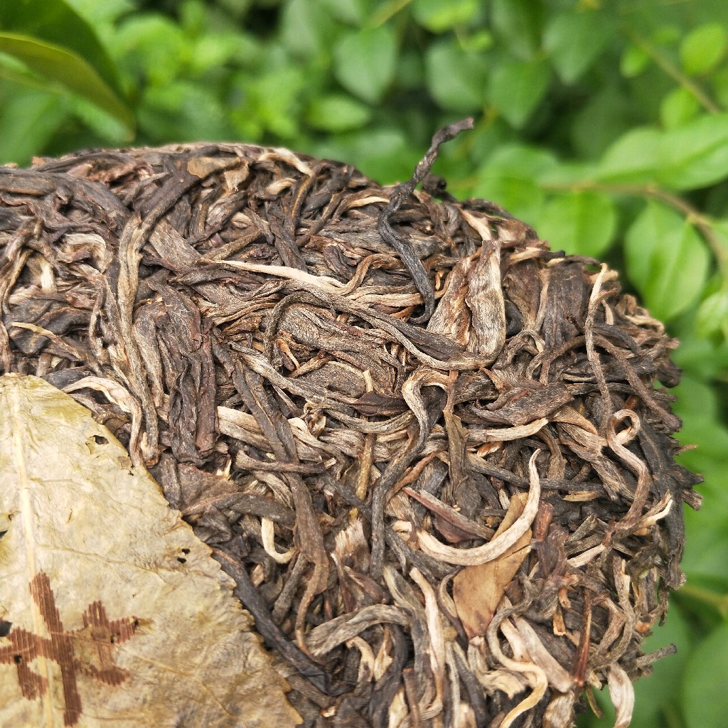 2023年班盆古樹春茶多少錢一公斤？