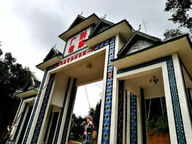 2023年廣別老寨古樹春茶品質如何？