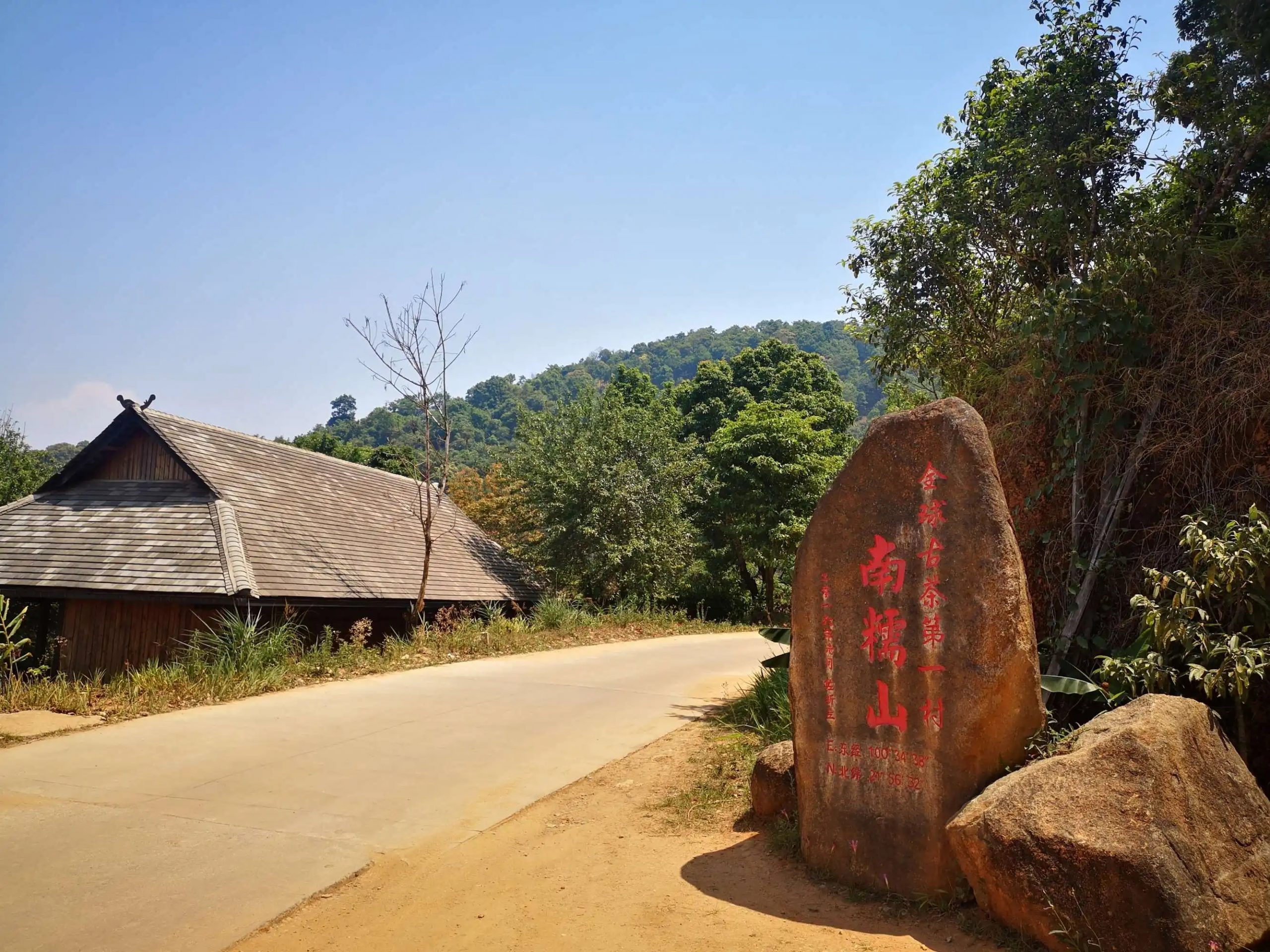 2023年南糯山古樹春茶品質(zhì)怎么樣？