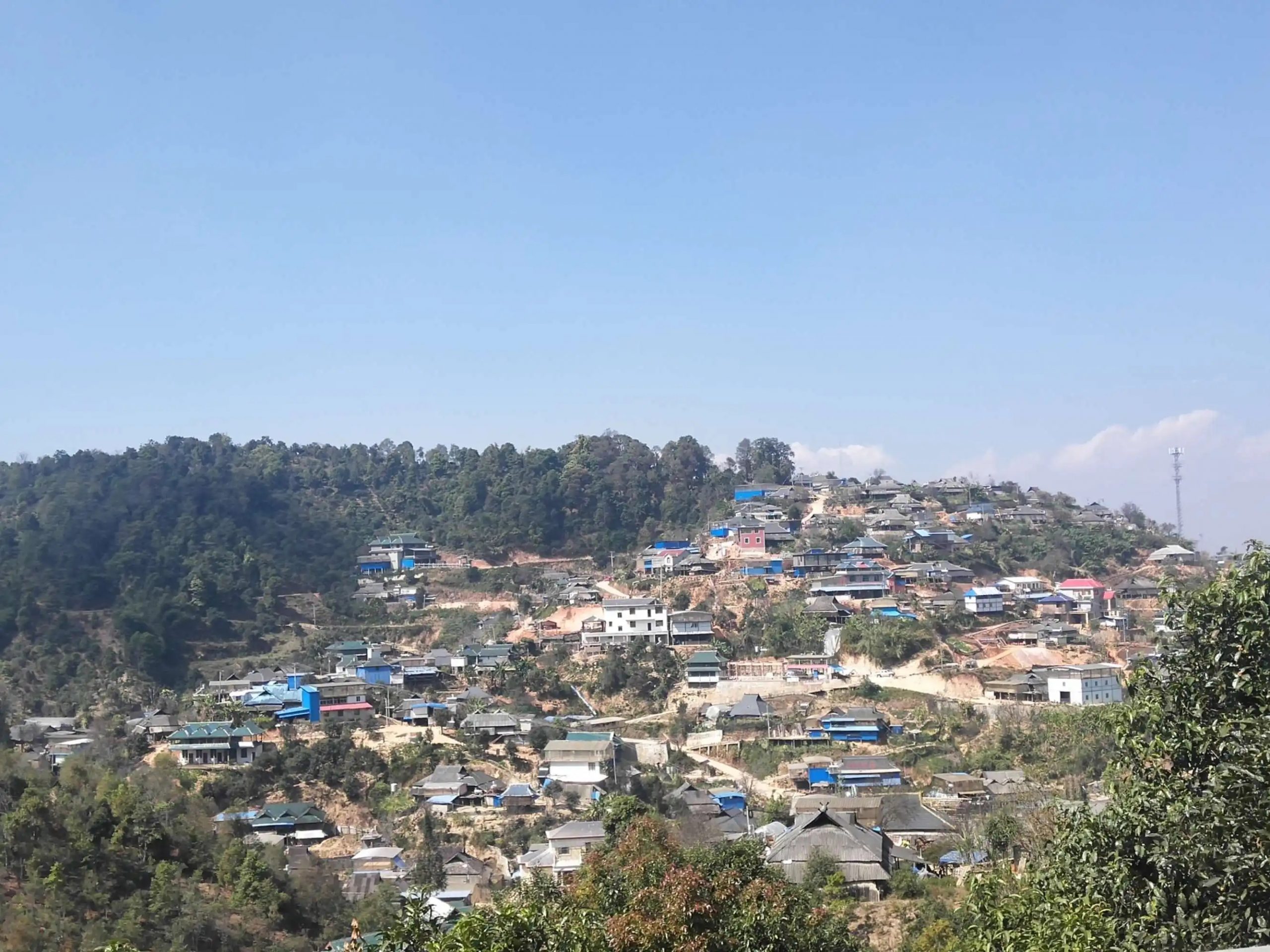 2023年帕沙古樹春茶品質(zhì)如何？