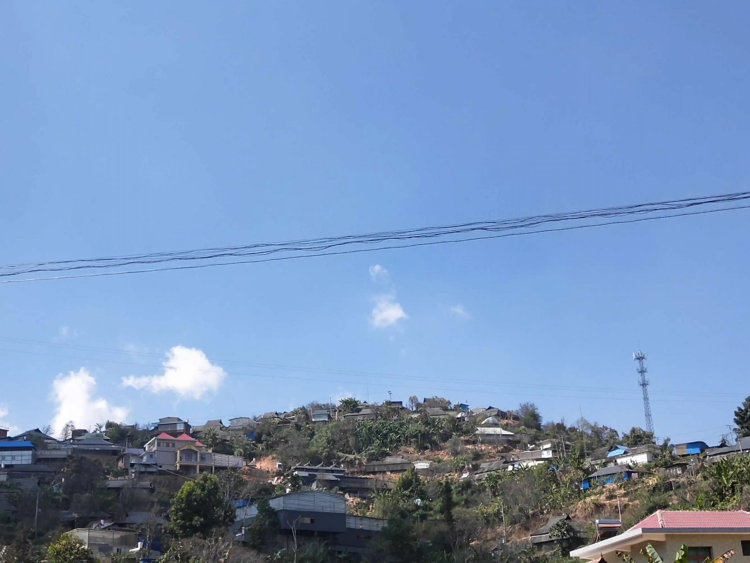 2023帕沙古樹(shù)春茶特點(diǎn)是什么？