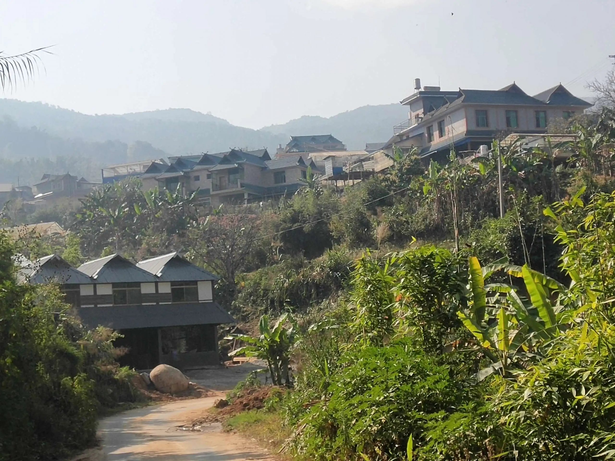 2023年帕沙古樹春茶價(jià)格多少錢？