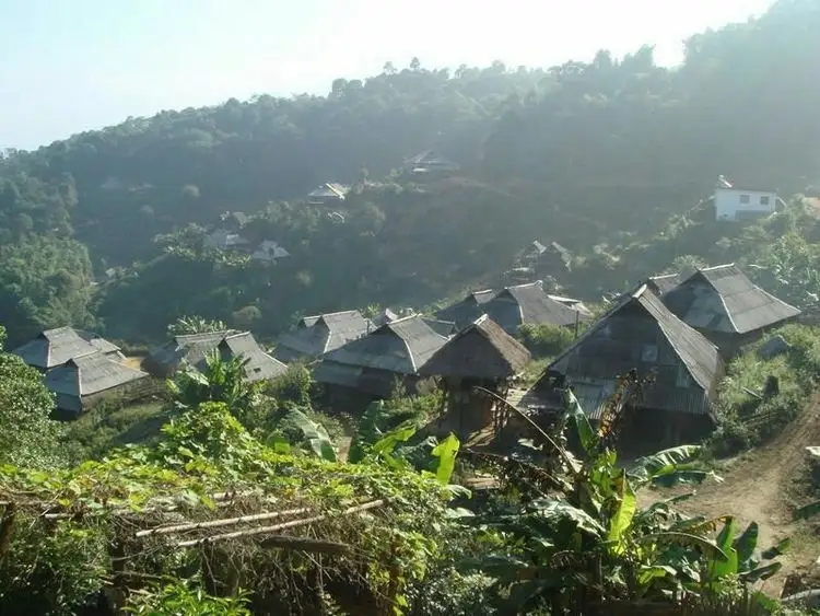 2023年帕沙古樹春茶多少一公斤？