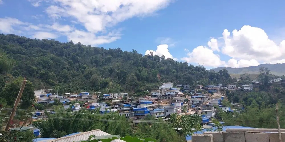 2023年那卡古樹春茶品質(zhì)如何？