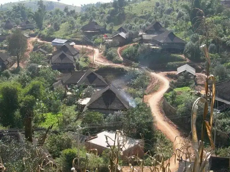 2023年保塘老寨古樹春茶品質(zhì)如何？