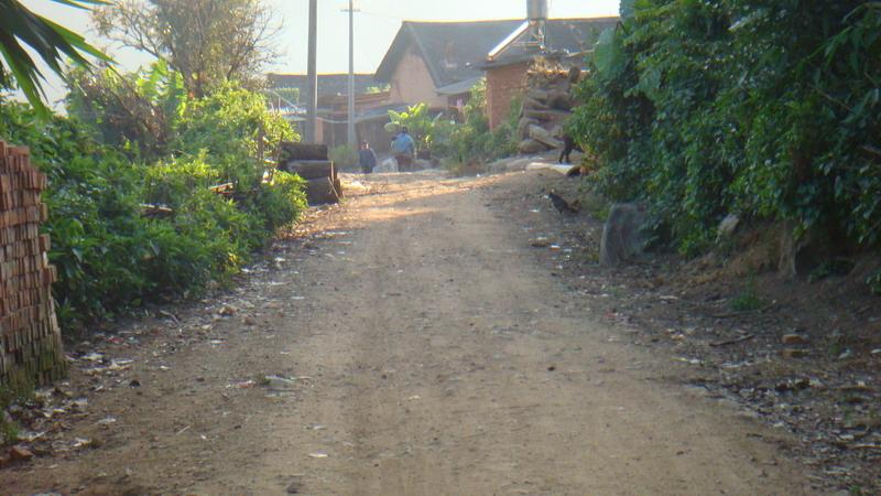 2023年保塘老寨古樹春茶價(jià)格是多少？