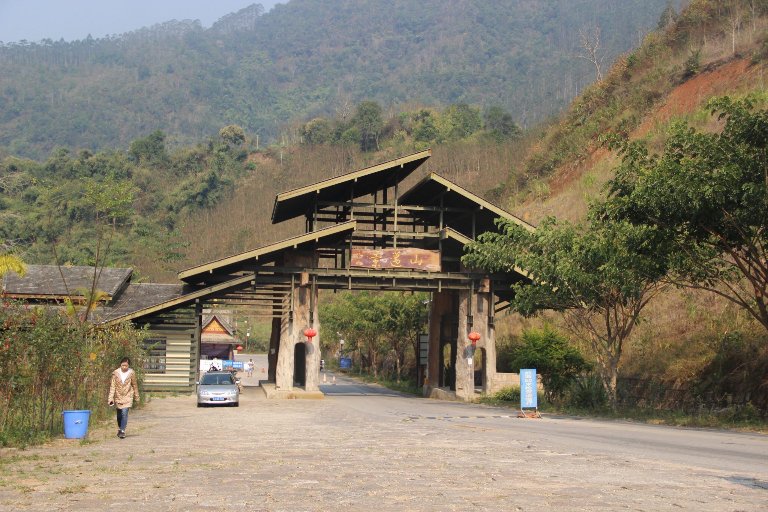 2023年景邁古樹春茶口感如何？