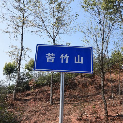 2023年苦竹山古樹(shù)春茶品質(zhì)如何？