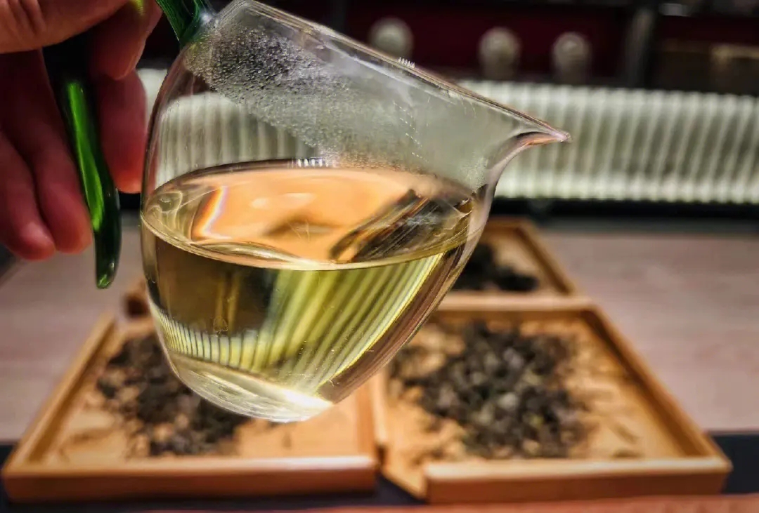 2023年鳳凰窩古樹春茶價格是多少？