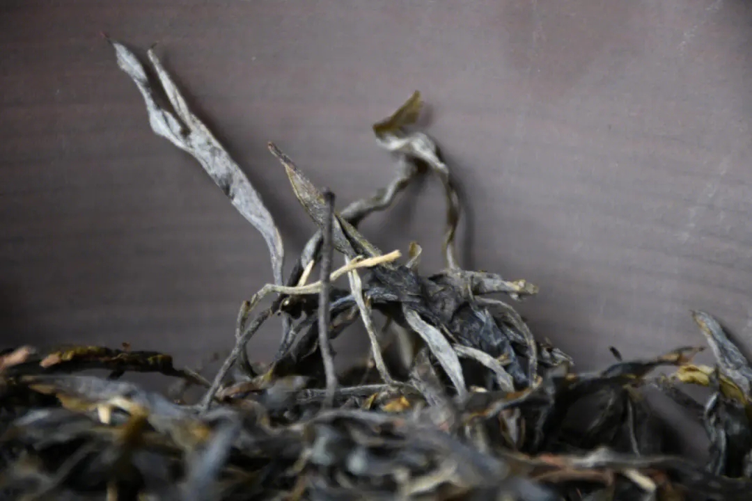 2023年正氣塘古樹春茶多少一公斤？