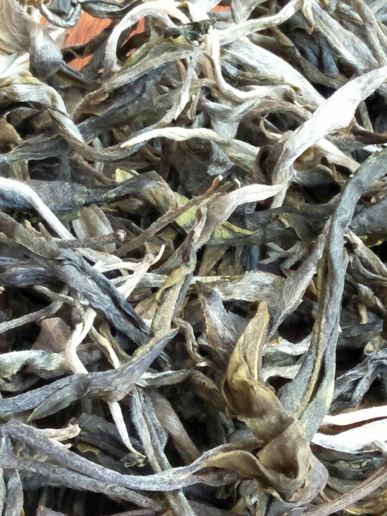 2023年壩歪古樹春茶價格是多少？