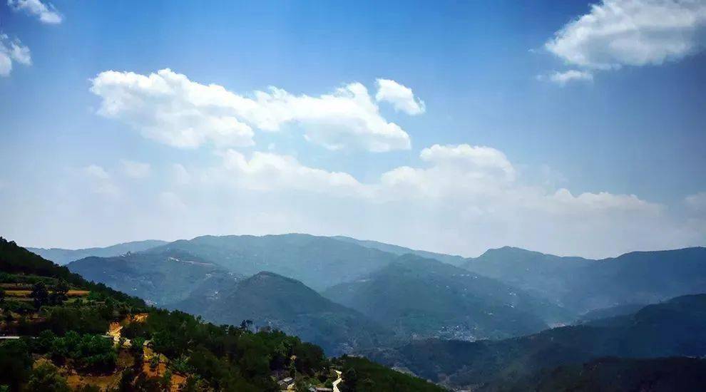 2023年勐庫大忠山古樹春茶價格是多少？