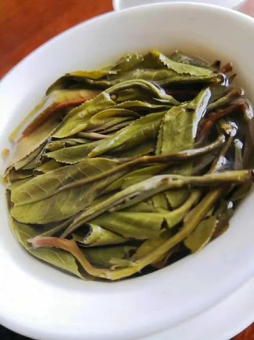 2023年鍋底塘古樹春茶特點(diǎn)是什么？